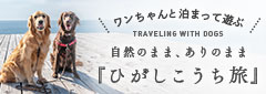 ワンちゃんと泊まって遊ぶ～自然のまま、ありのまま『ひがしこうち旅』