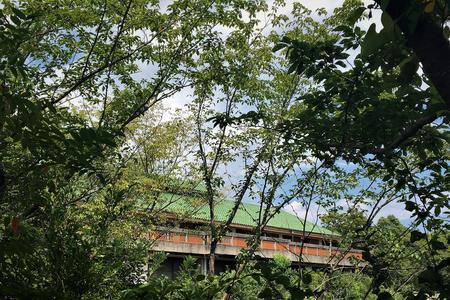 考える村