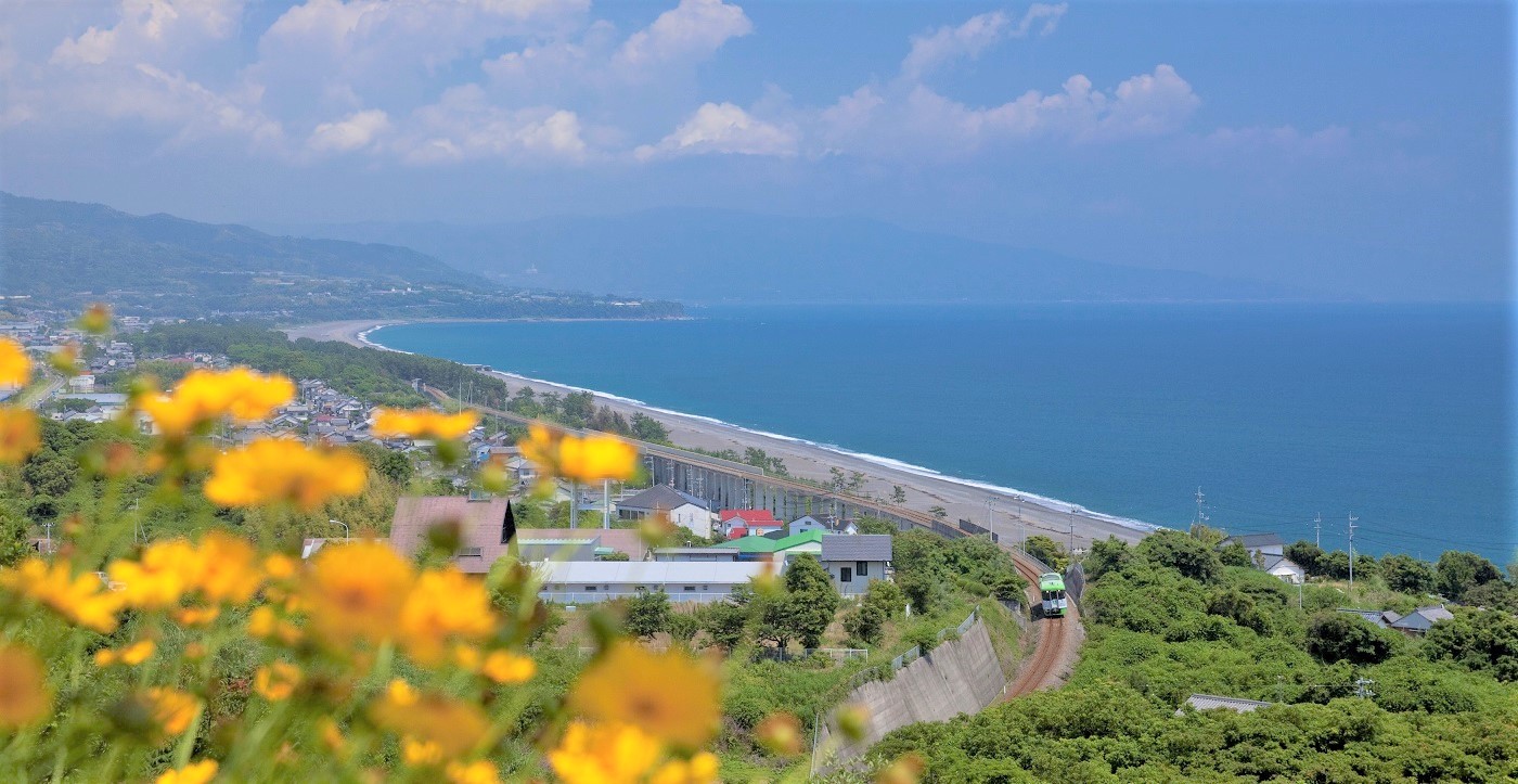 オープンデッキ車両と海｜ひがしこうち旅