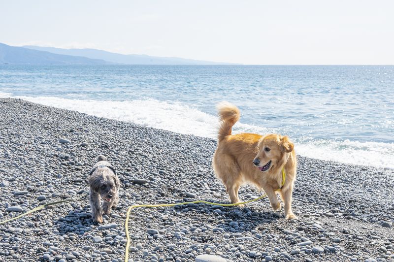  泊まるテスト４件目