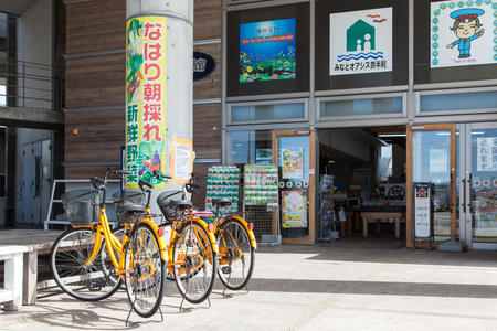  奈半利駅物産館「無花果」
