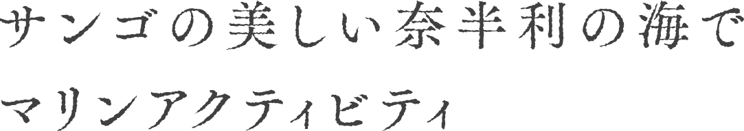 TS̔ޔ̊CŃ}ANeBreB