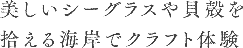 V[OXLkEC݂ŃNtǧ