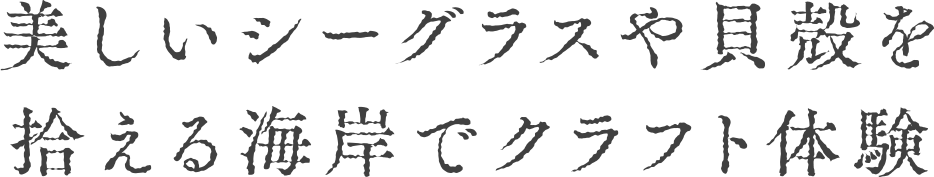 V[OXLkEC݂ŃNtǧ