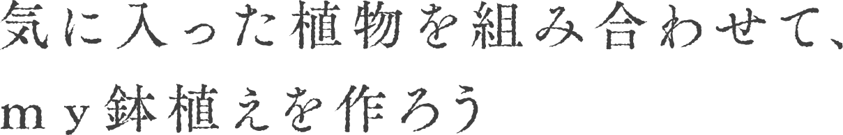 CɓAgݍ킹āAA낤