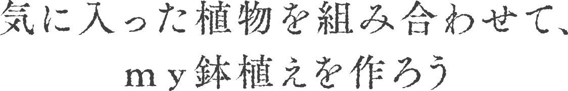 CɓAgݍ킹āAA낤