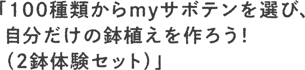 100ނmyT{eIсA ̔A낤Ii2̌Zbgj