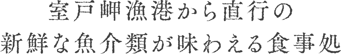 ˖`璼s̐VNȋނ킦H