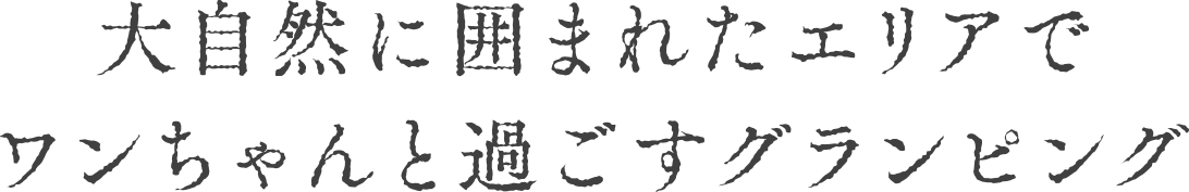 厩RɈ͂܂ꂽGAŃƉ߂OsO