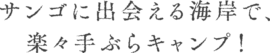 TSɏoC݂ŁAyXԂLvI