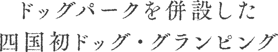 hbOp[N𕹐݂lhbOEOsO